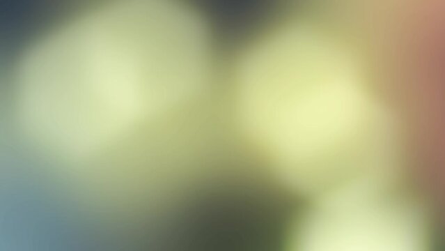 ライトリーク　レンズ　フレア　光漏れ 　エモーショナル　トランジション　エフェクト動画 20