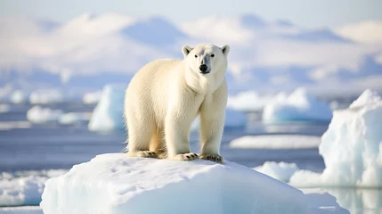 Tuinposter One lonely polar bear at North Pole Arctic sea standing on small iceberg been melt to ocean cause by global warming due to human activities fossil fuel burning increases greenhouse gas. Generative AI  © pitipat