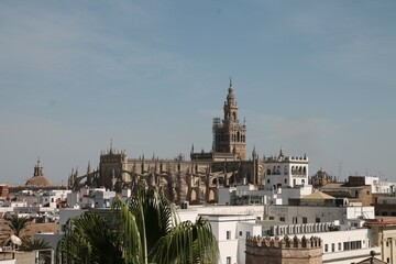 Sevilla catedral