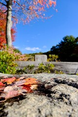 autumn in the mountains