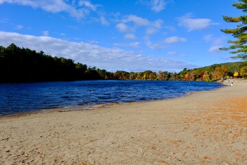 beach with water