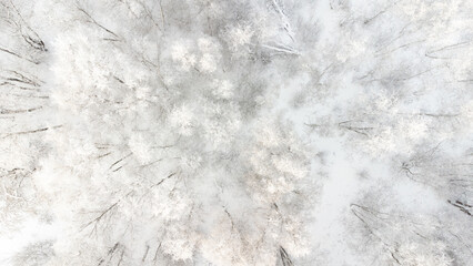 beautiful winter background - aerial top view of snowy winter forest in Estonia - obrazy, fototapety, plakaty