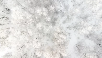 Fotobehang beautiful winter background - aerial top view of snowy winter forest in Estonia © Di Studio