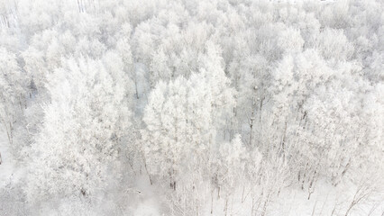 beautiful aerial view of snowy winter forest