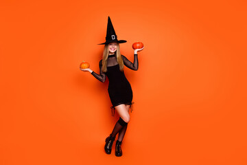 Full length photo of cute adorable lady wear black wizard costume cap holding two pumpkins isolated...
