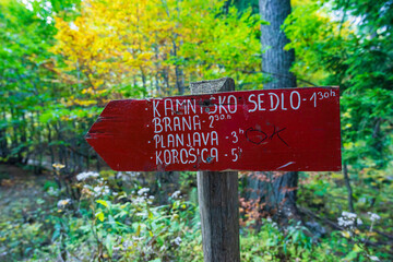information panel, trail in Okreselj forest, julian alps, Slovenia, Central Europe,