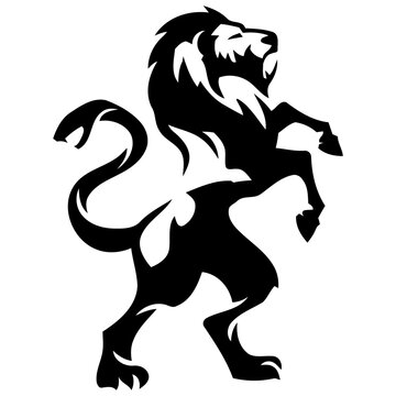 Lion vector image
