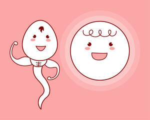 sperm and egg. vector illustration.