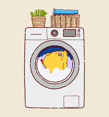  washing machine washing machines with chick