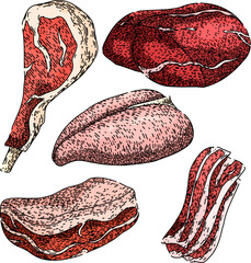 meat set hand drawn. butcher sirloin, cooking fresh, cut red meat vector sketch. isolated color illustration
