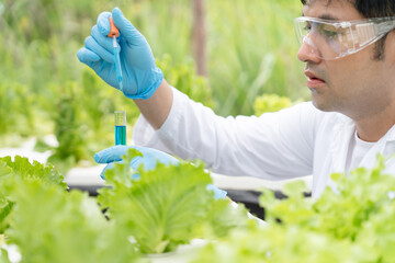 Scientist check chemical food residues on outdoor. Control experts inspect quality of fruits,...