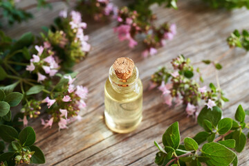 Obraz na płótnie Canvas Oregano essential oil in a bottle on a table