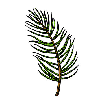 dry pine nut hand drawn. group whole, vegetarian rition, pile pignoli dry pine nut vector sketch. isolated color illustration