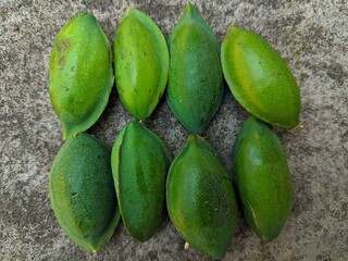 The oil in ketapang seeds has the effect of being a laxative and facilitating breast milk, the tannins in the bark have the effect of being a diuretic which can improve urine flow and treat hepatitis