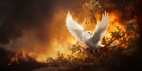 Deurstickers bird in flight White dove flies against the backdrop of a burning city A pigeon flying over a war destroyed city, generative AI   © Asad