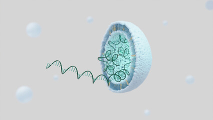 General structure of the mRNA vaccine, 3D rendered