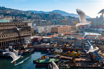 Vista del puerto de Génova, con la ciudad al fondo, Italia