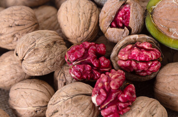 Red walnut harvest. Stil life and isolated images