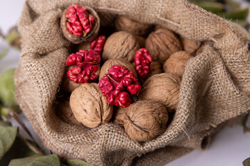 Red walnut harvest. Stil life and isolated images