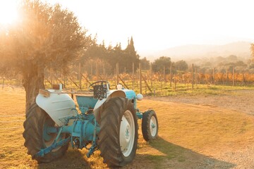 Vineyard with tractor. Agriculture, farming landscape. Rural beauty countryside with vine grapes....