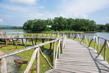 Fototapeta na wymiar Chom Kwang Bridge or deers park and Ecotourism attraction in Nong Yai Royal Development Initiative Projects and Regulating Reservoir for thai people local travelers travel visit in Chumphon, Thailand