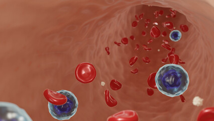Fototapeta premium blood cells flowing through blood vessel, 3D illustration