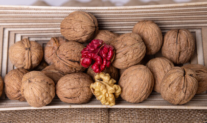 Red Walnut Harvest Stil Life