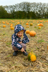 Cute little smiling girl sitting and pointing at small pumpkin