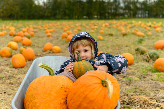 Cute small girl lying in wheelbarrow with pumpkins