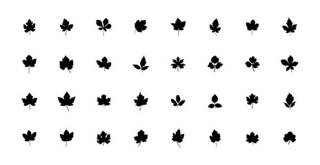 Isolated abstract leaves icons set on white background. eco set of black line leaf icons