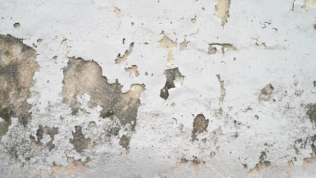 Close-up view of the wall paint peeling off and mold on the wall.