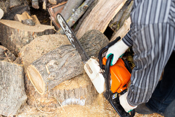 A man cuts a log with a chainsaw. Preparing firewood for the winter to heat the house