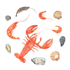 Watercolor seafood set. Oysters, mussels, lobsters, shrimp, scallop, clams. For restaurant menu cards design, cafes, market shops, french recipes, flyer, packaging design, logo, label