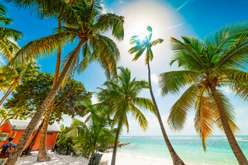 La Caravelle beach in Guadeloupe