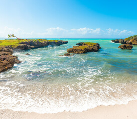 Colorful shore in Bas du Fort in Guadeloupe