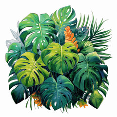 beautiful monstera green tropical plant background wallpaper