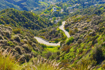 Hiking Trail Winding among Picturesque Hollywood Hills
