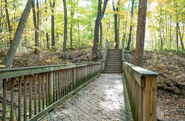 Footbridge and Stairs in Autumn Forest