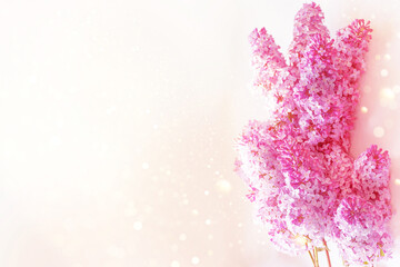 Fototapeta premium Bright and colorful flowers lilac