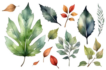 watercolor photo leaves on white background 