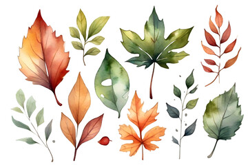 watercolor photo leaves on white background 