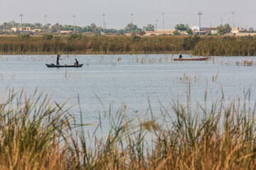 Chibayish, Iraq - 10 November 2022:  Mesopotamian Marshes in their boats