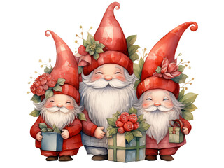 Merry Christmas gnomes with gifts