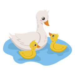 Farm animals. Cute duck with ducklings swims in lake. Vector graphic.