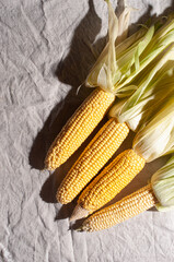 Corn&nbsp;on&nbsp;the&nbsp;cob&nbsp;sunny&nbsp;beautiful&nbsp;shot&nbsp;harvest&nbsp;concept&nbsp;flat&nbsp;lay&nbsp;top&nbsp;view