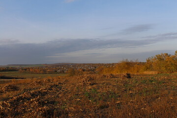 A field with trees and a mountain in the background