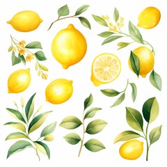 Watercolor Lemons Clipart 