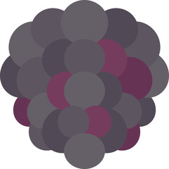 blackberry  icon