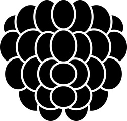 raspberry  icon