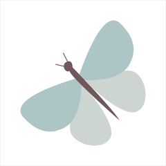 Colored butterfly hand drawn vector